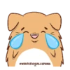 DUDU Cute 23