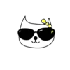 🧿variados Gatituss🐈🐱 19