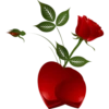 Flowers 8 15