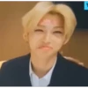 Stray Kids №17 15