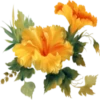 Flowers 5 13