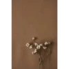 Flowers 9