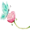 Flowers 5 14