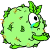 Buds Monster 10