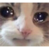 Sad 😔 12