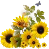 Flowers 5 17