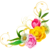 Flowers 5 18