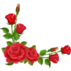 Flowers 8 22
