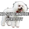 ABORTAR 13