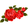 Flowers 8 24