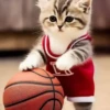 Gatitos💞7🇵🇪Clásica 23