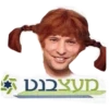 מעצבנט