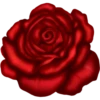 Flowers 8 27