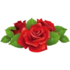 Flowers 8 28