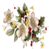 Flowers 5 19