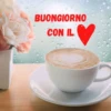 Buongiorno 14