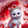 Gatitos💞7🇵🇪Clásica 25