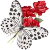 Flowers 5 21