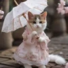Gatitos💞7🇵🇪Clásica 28