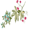 Flowers 5 23