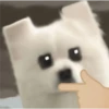 Expresiones perrito blanco 3🤍 30