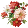 Flowers 5 24