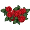 Flowers 8 30