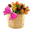Flowers 5 25