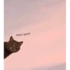 Catsssssss 5