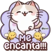 El Gato amigo😻💛🧡 5