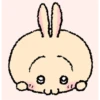 🧿Cute animalitos 2🐈🐩 4