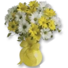Flowers 3 6