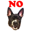 Recopilación 'No' 8
