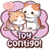 El Gato amigo😻💛🧡 8