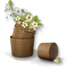 Flowers 3 9