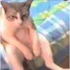 New 132 13