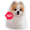 Recopilación 'No' 10