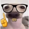 Memes34689 10