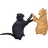 Gatites 5