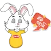 rabbit 6