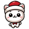 🎅🏻Christmas cat white.🤍🐱 15