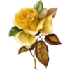 Flowers 3 15