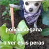 Memes34689 11