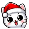 🎅🏻Christmas cat white.🤍🐱 16