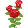 Flowers 3 17