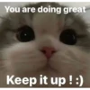 Catsssssss 23