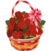 Flowers 3 18