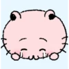 🧿Cute animalitos 2🐈🐩 11