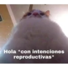 Cositas <3 5