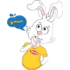 rabbit 8